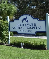 Boulevard Animal Hospital Wayne Diamond